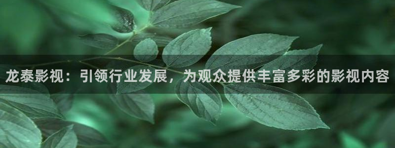 飘雪影院电视剧在线播放：龙泰影视：引领行业发展，为观众提供丰富多彩的影视内容