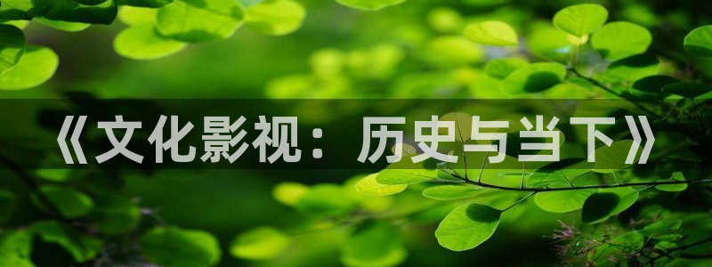飘雪影院免费看电影：《文化影视：历史与当下》