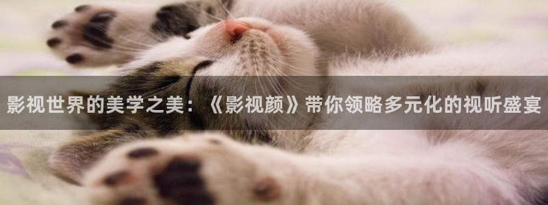 飘雪影视在线观看高清版：影视世界的美学之美：《影视颜》带你领略多元化的视听盛宴