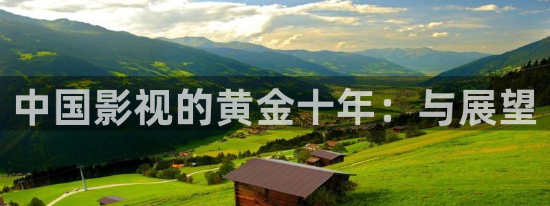 飘雪影视在线观看免费：中国影视的黄金十年：与展望