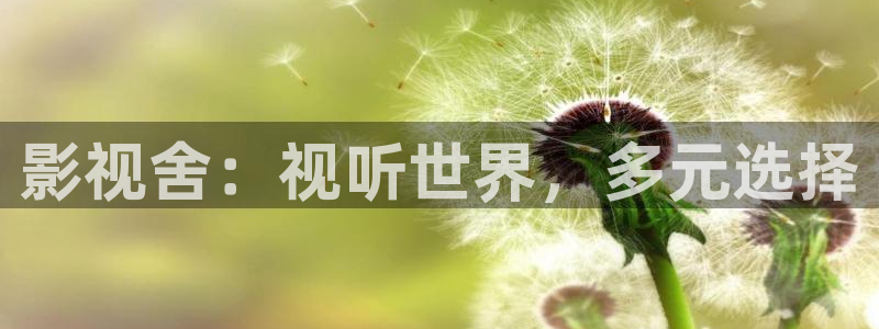 飘雪影院在线观看完整版动漫免费：影视舍：视听世界，多元选择
