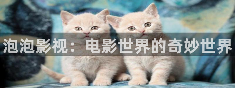 飘雪影院观看免费完整版 在线播放：泡泡影视：电影世界的奇妙世界