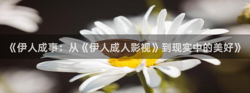 飘雪影院在线观看免费播放最新版：《伊人成事：从《伊人成人影视》到现实中的美好》